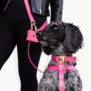 RIPLEY & RUE Hands-Free Leash for Dog in Pink